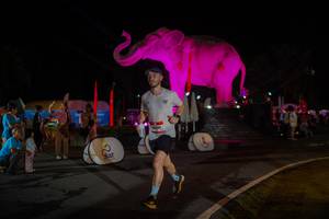 BIB: 
                            <button type="button" onclick="openModal(26552254)" class="btn btn-primary btn-sm float-right btn-popup" data-toggle="modal" data-target=".modal-high-quality">
                        <i class="fas fa-shopping-cart"></i> Add to Cart
                    </button>
                                            <button type="button" onclick="isThisMe(26552254, true)" class="btn btn-success btn-sm float-right btn-popup btn-isme hidden" data-toggle="tooltip" data-placement="bottom" title="นี่คือรูปของคุณใช่ไหม คลิกที่นี่เพื่อเอาเข้าอัลบั้ม">
                        <i class="fas fa-plus"></i> Add to album
                    </button>
                    <button type="button" onclick="isThisMe(26552254, false)" class="btn btn-warning btn-sm float-right btn-popup btn-isnotme hidden">
                        <i class="fas fa-ban"></i> Remove from album
                    </button>